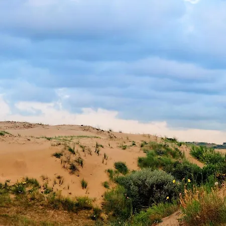 Aan De Zee Duinendaele * De Panne