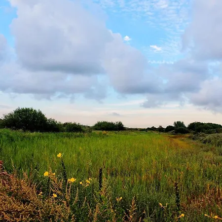 Aan De Zee Duinendaele Casa vacanze *